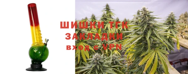 ГАЛЛЮЦИНОГЕННЫЕ ГРИБЫ Балахна