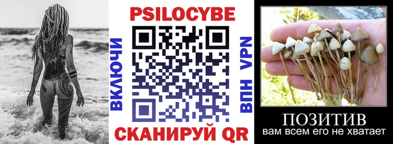Псилоцибиновые грибы Magic Shrooms  Черногорск 