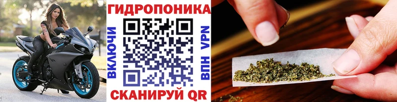 купить наркотики цена Черногорск Конопля VHQ